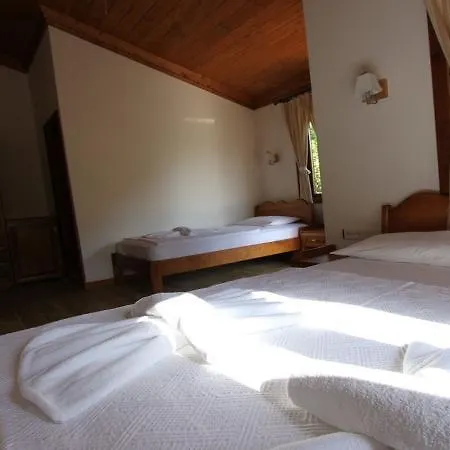 Отель Elly's Датча